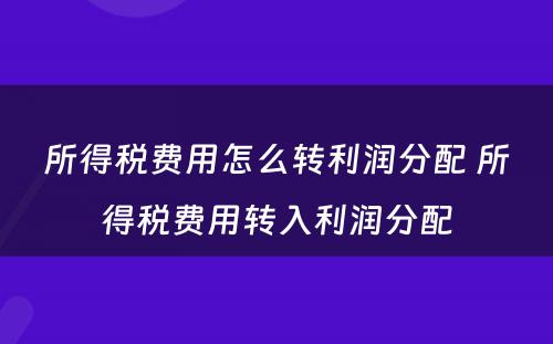 所得税费用怎么转利润分配 所得税费用转入利润分配