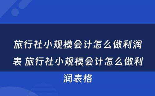 旅行社小规模会计怎么做利润表 旅行社小规模会计怎么做利润表格