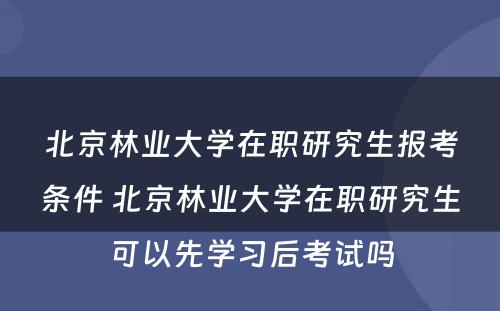 北京林业大学在职研究生报考条件 北京林业大学在职研究生可以先学习后考试吗