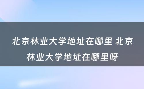 北京林业大学地址在哪里 北京林业大学地址在哪里呀