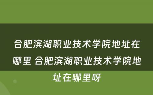 合肥滨湖职业技术学院地址在哪里 合肥滨湖职业技术学院地址在哪里呀