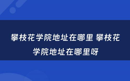 攀枝花学院地址在哪里 攀枝花学院地址在哪里呀