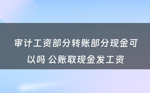 审计工资部分转账部分现金可以吗 公账取现金发工资