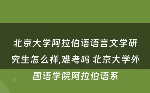 北京大学阿拉伯语语言文学研究生怎么样,难考吗 北京大学外国语学院阿拉伯语系