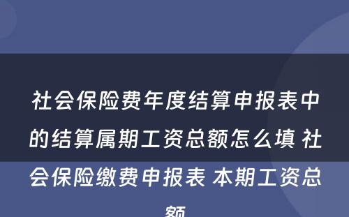 社会保险费年度结算申报表中的结算属期工资总额怎么填 社会保险缴费申报表 本期工资总额