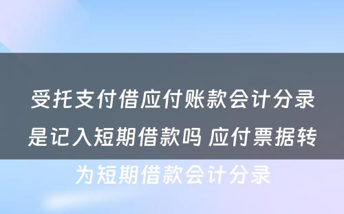 受托支付借应付账款会计分录是记入短期借款吗 应付票据转为短期借款会计分录