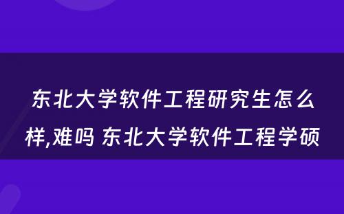 东北大学软件工程研究生怎么样,难吗 东北大学软件工程学硕