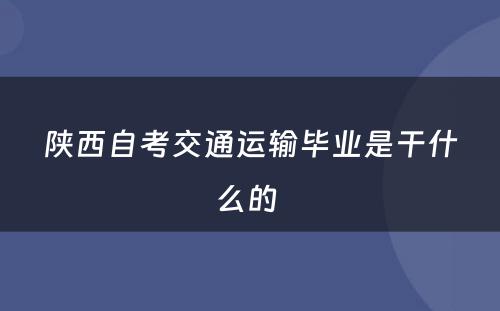 陕西自考交通运输毕业是干什么的 