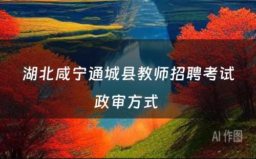 湖北咸宁通城县教师招聘考试政审方式 