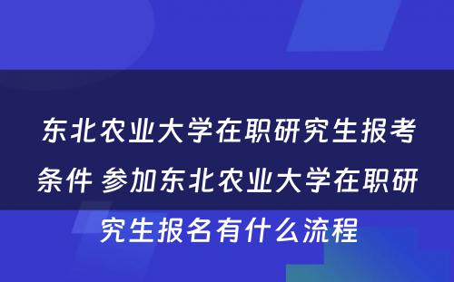 东北农业大学在职研究生报考条件 参加东北农业大学在职研究生报名有什么流程