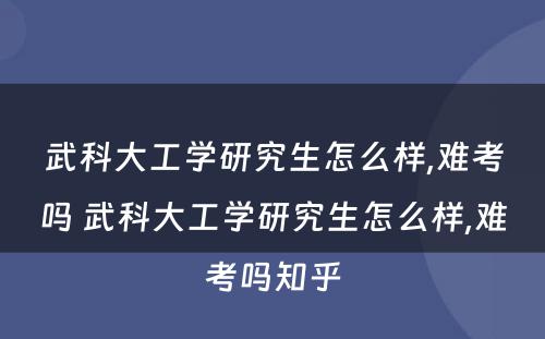 武科大工学研究生怎么样,难考吗 武科大工学研究生怎么样,难考吗知乎