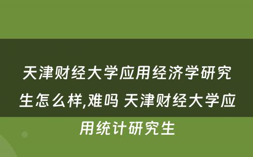 天津财经大学应用经济学研究生怎么样,难吗 天津财经大学应用统计研究生