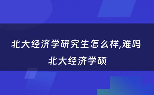 北大经济学研究生怎么样,难吗 北大经济学硕