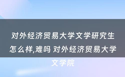 对外经济贸易大学文学研究生怎么样,难吗 对外经济贸易大学文学院
