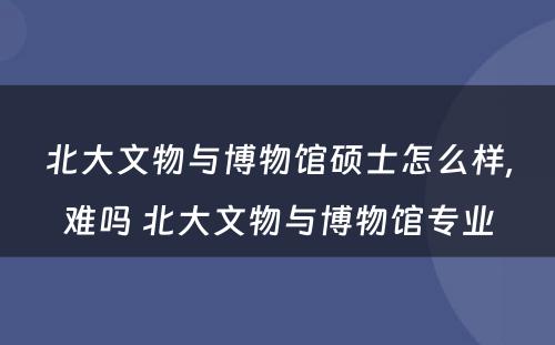 北大文物与博物馆硕士怎么样,难吗 北大文物与博物馆专业