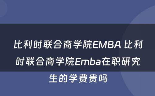 比利时联合商学院EMBA 比利时联合商学院Emba在职研究生的学费贵吗