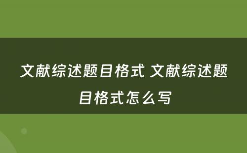 文献综述题目格式 文献综述题目格式怎么写