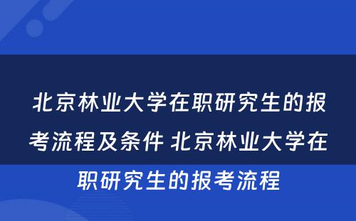 北京林业大学在职研究生的报考流程及条件 北京林业大学在职研究生的报考流程