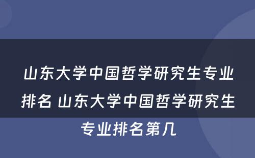 山东大学中国哲学研究生专业排名 山东大学中国哲学研究生专业排名第几