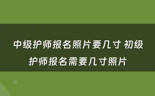 中级护师报名照片要几寸 初级护师报名需要几寸照片