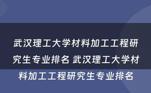 武汉理工大学材料加工工程研究生专业排名 武汉理工大学材料加工工程研究生专业排名