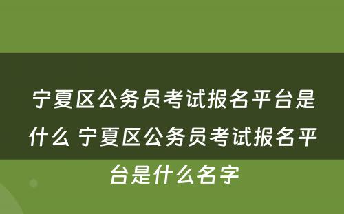宁夏区公务员考试报名平台是什么 宁夏区公务员考试报名平台是什么名字