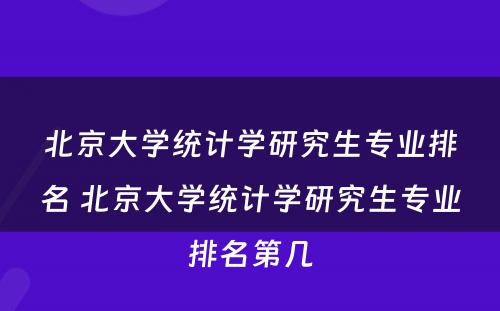 北京大学统计学研究生专业排名 北京大学统计学研究生专业排名第几