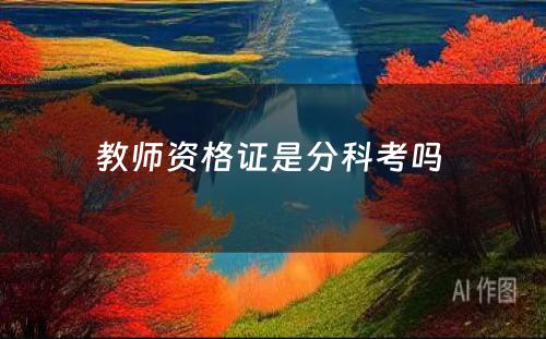 教师资格证是分科考吗 