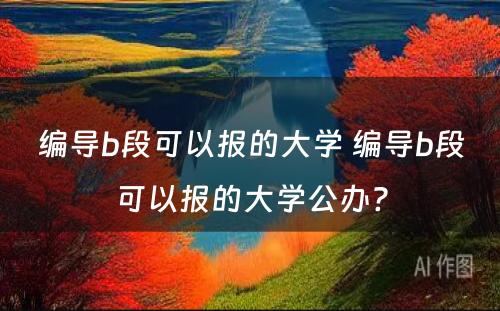 编导b段可以报的大学 编导b段可以报的大学公办?