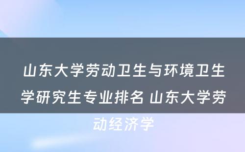 山东大学劳动卫生与环境卫生学研究生专业排名 山东大学劳动经济学