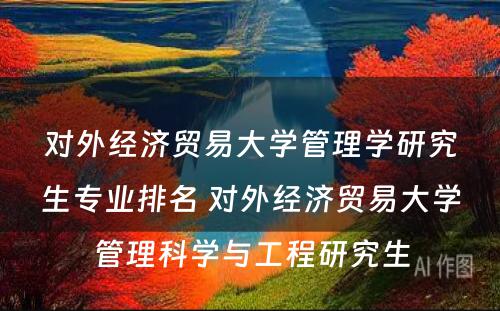 对外经济贸易大学管理学研究生专业排名 对外经济贸易大学管理科学与工程研究生