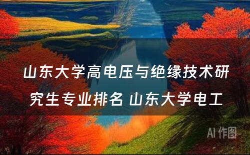 山东大学高电压与绝缘技术研究生专业排名 山东大学电工