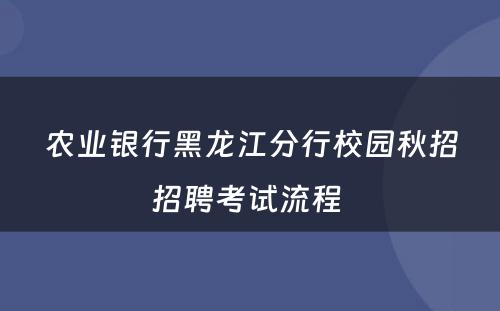 农业银行黑龙江分行校园秋招招聘考试流程 