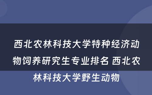 西北农林科技大学特种经济动物饲养研究生专业排名 西北农林科技大学野生动物