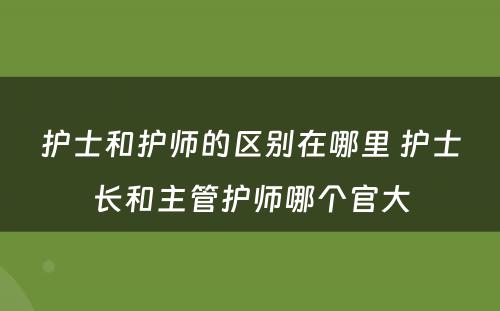 护士和护师的区别在哪里 护士长和主管护师哪个官大