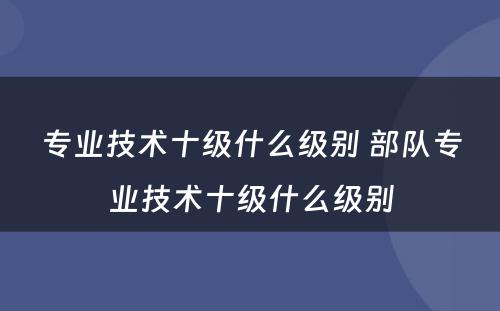 专业技术十级什么级别 部队专业技术十级什么级别