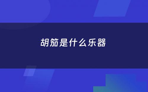 胡笳是什么乐器 