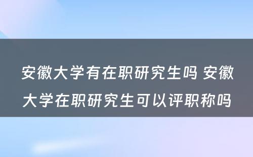 安徽大学有在职研究生吗 安徽大学在职研究生可以评职称吗