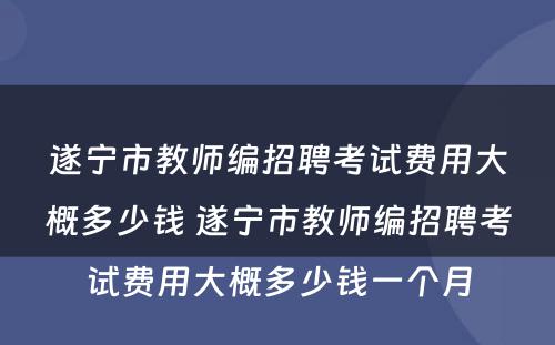 遂宁市教师编招聘考试费用大概多少钱 遂宁市教师编招聘考试费用大概多少钱一个月