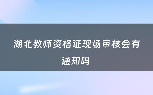 湖北教师资格证现场审核会有通知吗 