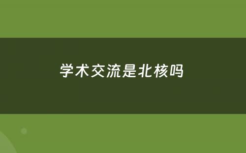 学术交流是北核吗 