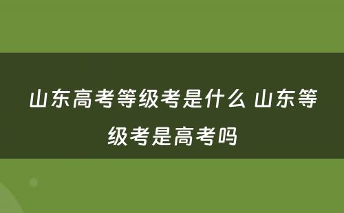 山东高考等级考是什么 山东等级考是高考吗