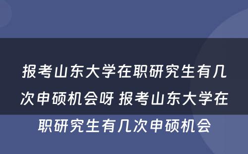 报考山东大学在职研究生有几次申硕机会呀 报考山东大学在职研究生有几次申硕机会