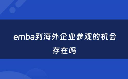  emba到海外企业参观的机会存在吗