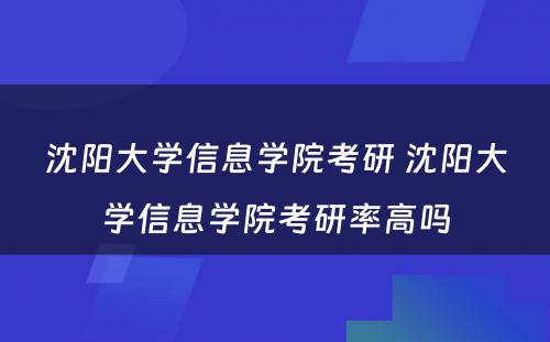沈阳大学信息学院考研 沈阳大学信息学院考研率高吗