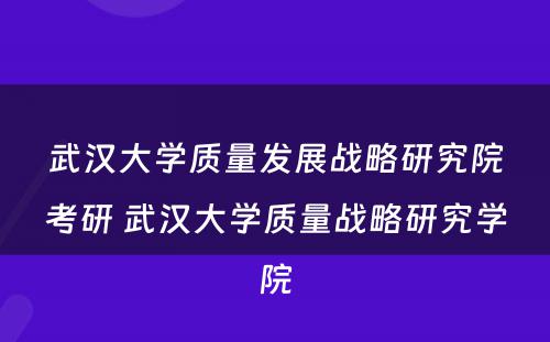 武汉大学质量发展战略研究院考研 武汉大学质量战略研究学院