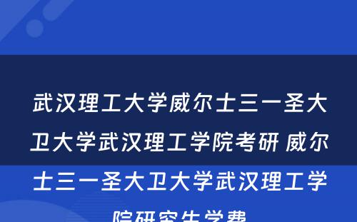武汉理工大学威尔士三一圣大卫大学武汉理工学院考研 威尔士三一圣大卫大学武汉理工学院研究生学费