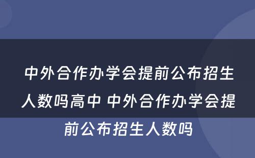 中外合作办学会提前公布招生人数吗高中 中外合作办学会提前公布招生人数吗