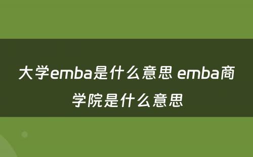 大学emba是什么意思 emba商学院是什么意思