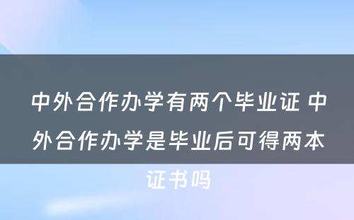 中外合作办学有两个毕业证 中外合作办学是毕业后可得两本证书吗